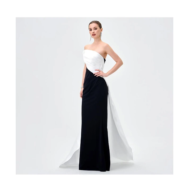 Bariano Women's Yulitza Asymmetric Gown