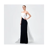 Bariano Women's Yulitza Asymmetric Gown