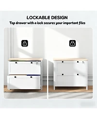 Rainsken File Cabinet, Lateral Locking Filing Cabinet with 2-Drawer and Adjustable Hanging Bar for Letter/A4/Legal, Home Office Storage Cabinet