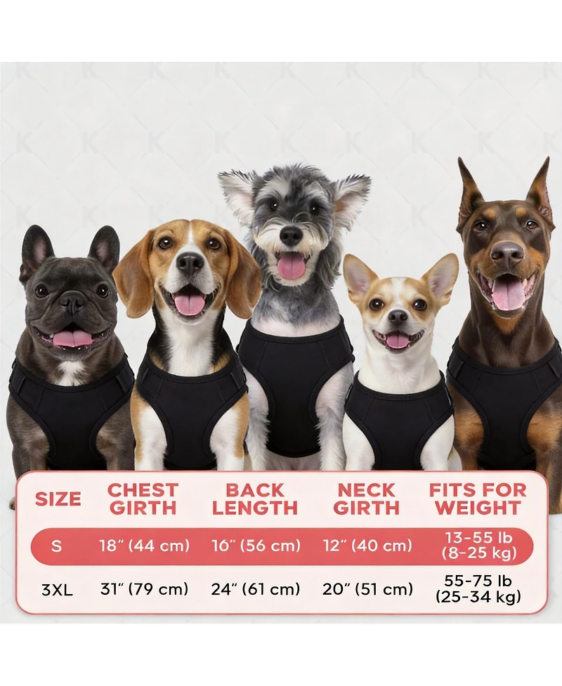 Aronkl 2-Pack Lightweight Athletic Dog T-Shirt with Reflective Label for Outdoor Use