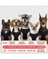 Aronkl 2-Pack Lightweight Athletic Dog T-Shirt with Reflective Label for Outdoor Use