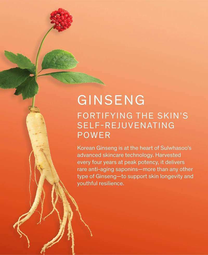 Sulwhasoo 4-Pc. Concentrated Ginseng Rejuvenating Cream Rich Set