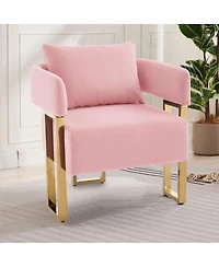 Streamdale Furniture Modern decorative chair with gold legs, velvet fleece upholstered, 2PCS