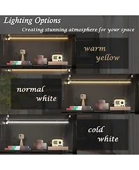 Homsee Modern Wood 4-Shelf Bookcase with Doors and 3-Color Led Lights