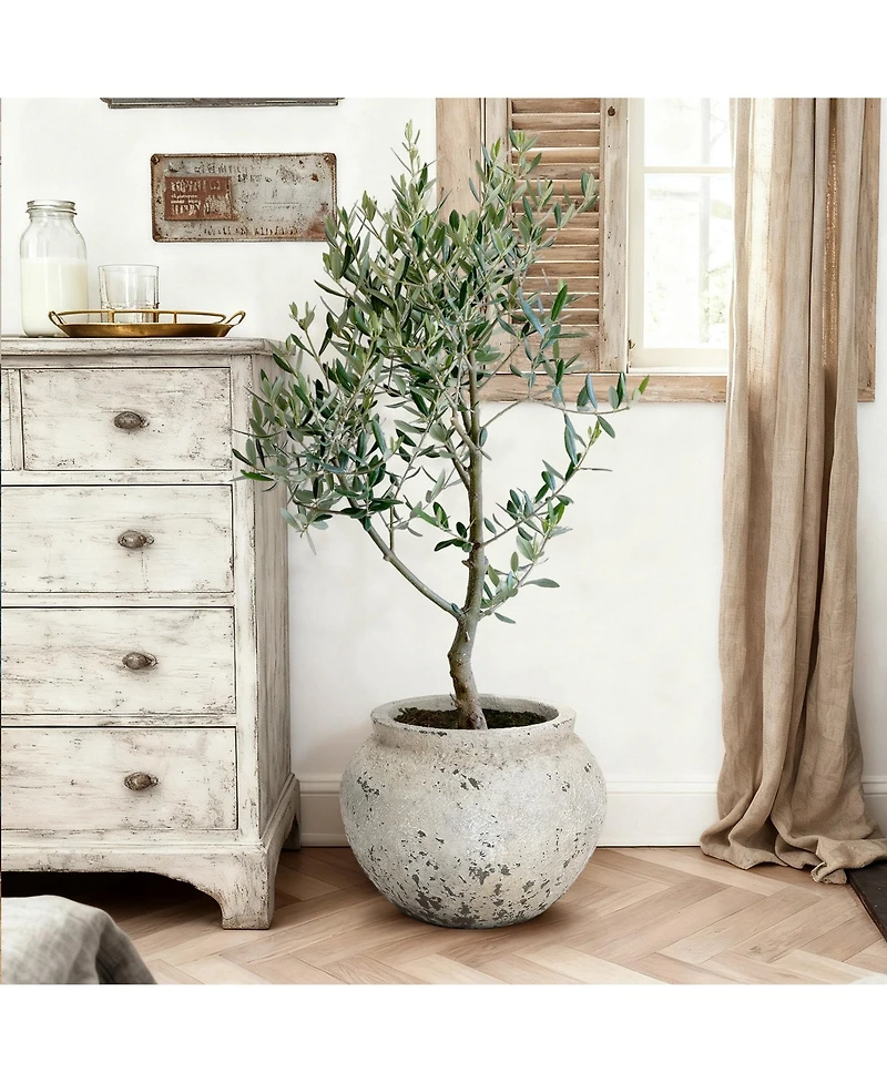 LuxenHome Rustic MgO Planter, 12" Tall x 15.75" Wide Stone-Look Pot for Indoor/Outdoor