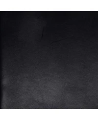 Pre-Owned Celine Medium Phantom Bag Striped Canvas