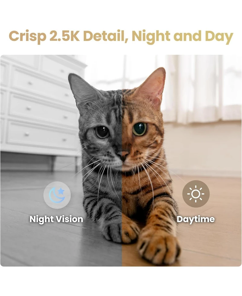 Enabot Ebo Air 2S Smart Companion Robot with 2.5K Camera, Two-Way Audio & Night Vision