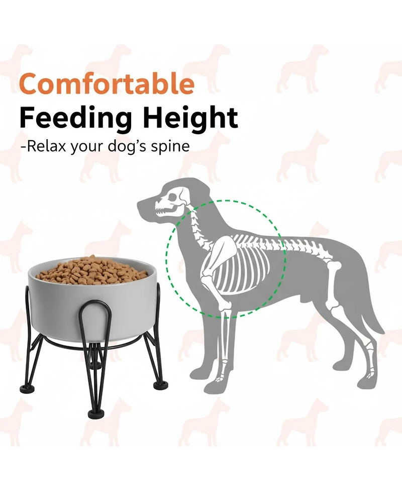 Aronkl Elevated Dog Ceramic Bowl Set 2 Pack with Anti-slip Non-tip Metal Stand for Dogs Food Water Feeding