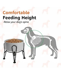 Aronkl Elevated Dog Ceramic Bowl Set 2 Pack with Anti-slip Non-tip Metal Stand for Dogs Food Water Feeding