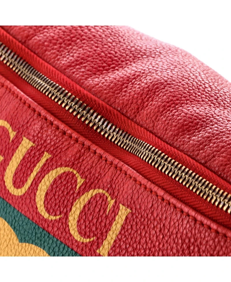 Pre-Owned Gucci Medium Logo Belt Bag Printed Leather