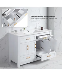 Sillysis 48" Transitional Bathroom Vanity with Ceramic Sink, Soft Close Doors, Mdf Cabinet, Elegant Storage Space for Modern Homes