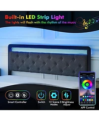 gaomon Bed Frame with Led Lights,Metal Platform Bed Frame with Button Tufted Headboard,Upholstered Bed Frame with 2 Storage Drawers,Heavy Metal