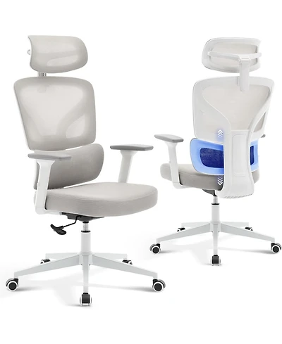 gaomon Ergonomic Office Chair with Adjustable Lumbar Support, High-Back Desk Chair with Headrest
