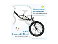 Hongge Kids Bike Adjustable for 4-8 Years Old with Low-Step Frame