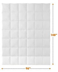 Cheer Collection Luxury All Season Down Alternative Comforter