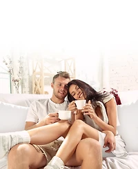 Cheer Collection 2-Pack Pillows, European