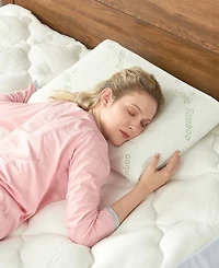 Cheer Collection Latex Pillow, 15.7" x 23.6"