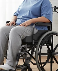 Cheer Collection Xl Seat Cushion