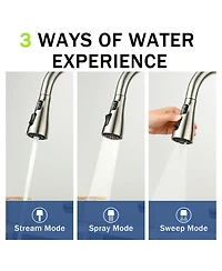 Busdays 3-in-1 Kitchen Faucet with Led Temp Display, Glass Rinser and Pull-Down Sprayer, Brushed Nickel