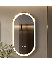 Luvodi 19.68"x39.37" Anti-Fog Lighted Oval Bathroom Mirror Frontlit Touch Dimmable for Wall Vanity