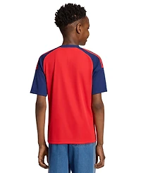 adidas Big Boys' and Girls' Spain 26 Home Fan Jersey