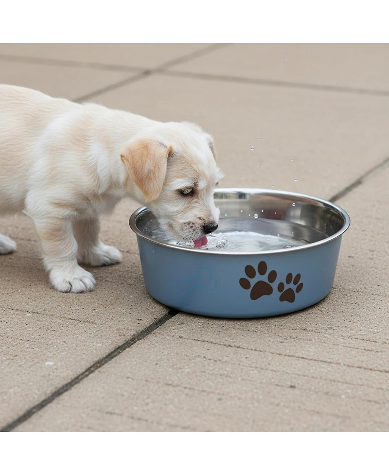 Aronkl Stainless Steel Dog Cat Bowl Spill Proof Durable Dishwasher Safe Travel Feeder