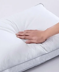 Unikome Goose Feather Down 2-Pc. Pillow