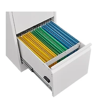 gaomon Vertical Steel Filing Cabinet with 4 Locking Drawers
