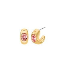 Michael Kors Oval Stone Huggie Earrings