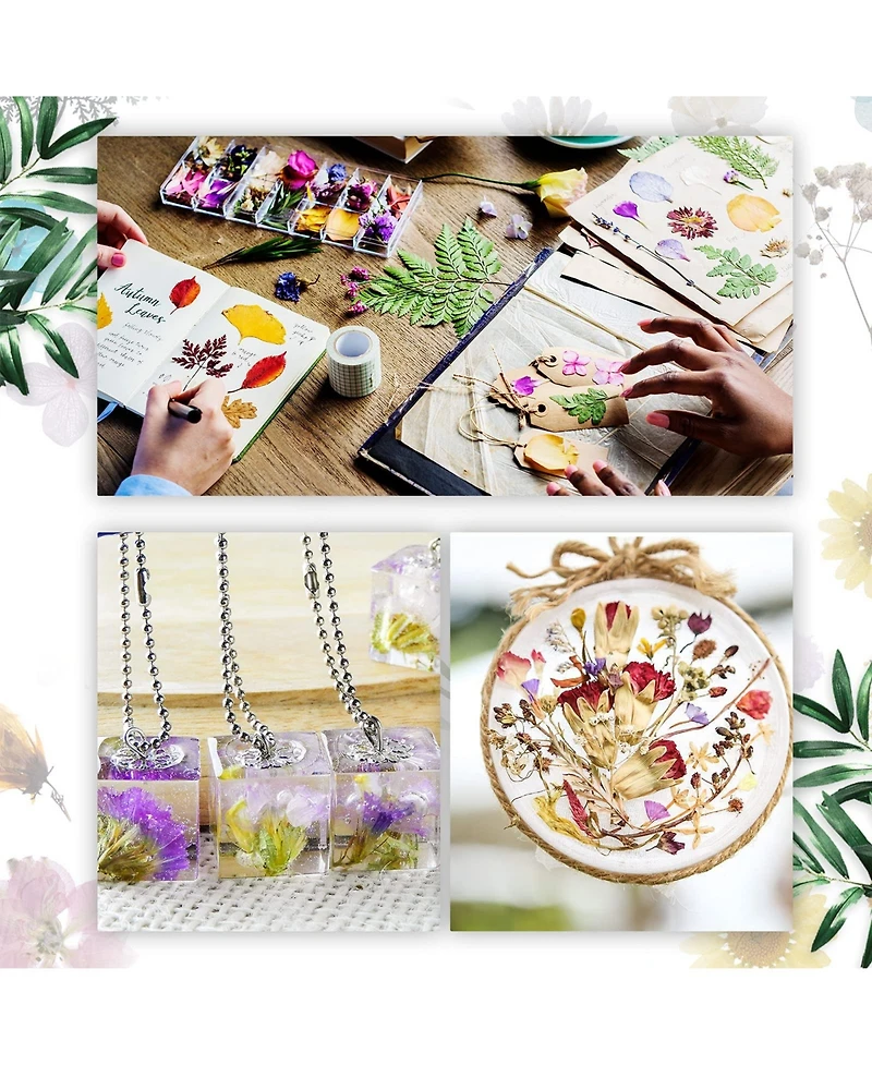 Gnuadz 200 Dried Pressed Flowers Leaves Real Mixed Tweezers Diy Candle Soap Vase Card Scrapbook Art Craft Decor