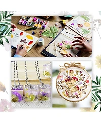 Gnuadz 200 Dried Pressed Flowers Leaves Real Mixed Tweezers Diy Candle Soap Vase Card Scrapbook Art Craft Decor