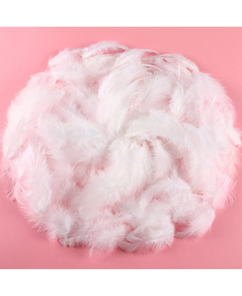 Gnuadz 300pcs Feathers For Crafts Wedding Home Party Dream Catcher Diy Supplies