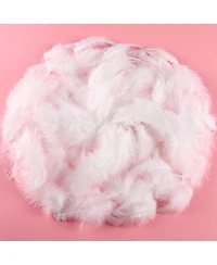 Gnuadz 300pcs Feathers For Crafts Wedding Home Party Dream Catcher Diy Supplies