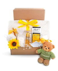 Alder Creek Gift Baskets Comfort and Care Gift Box, 12-Pc.