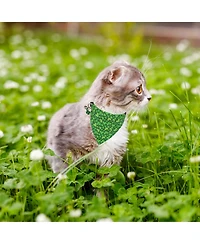 Aronkl Cat Collars Breakaway With Removable Bandana Adjustable Bunny Pattern Kitten