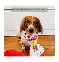 Aronkl Handmade Crocheted Cat Collar Breakaway Cute Strawberry Bow Tie Soft Comfortable Adjustable for Kittens Small Puppies