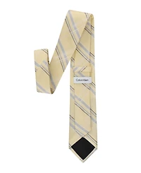 Calvin Klein Men's Gaze Plaid Classic Tie