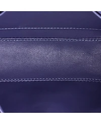 Pre-Owned Celine Nano Triomphe Shoulder Bag Smooth Calfskin