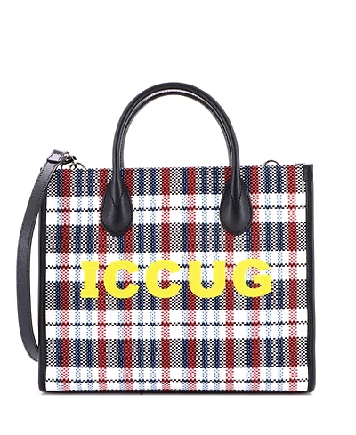 Pre-Owned Gucci Small Iccug Tote Embroidered Faux Raffia