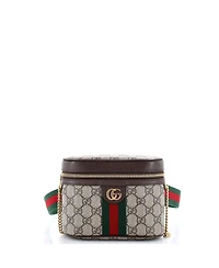 Pre-Owned Gucci Small Ophidia Chain Belt Bag Gg Coated Canvas
