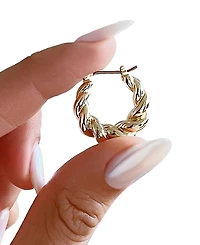 Ana Luisa Paris Gold-Plated Twisted Hoop Earrings