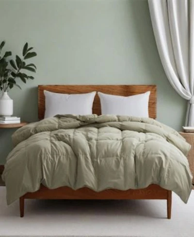 Unikome 300 Thread Count Cotton All Season Goose Feather Comforter