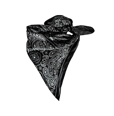 Headbands of Hope Women's Satin Paisley Headscarf