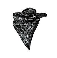Headbands of Hope Women's Satin Paisley Headscarf