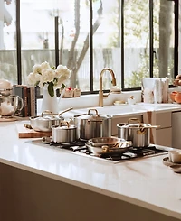 Made In Stainless Steel Clad 10-Piece Cookware Set