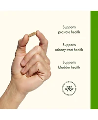 Swanson Pygeum Herbal Supplement Men's Health Supplement (120 Capsules Each, 400 mg)