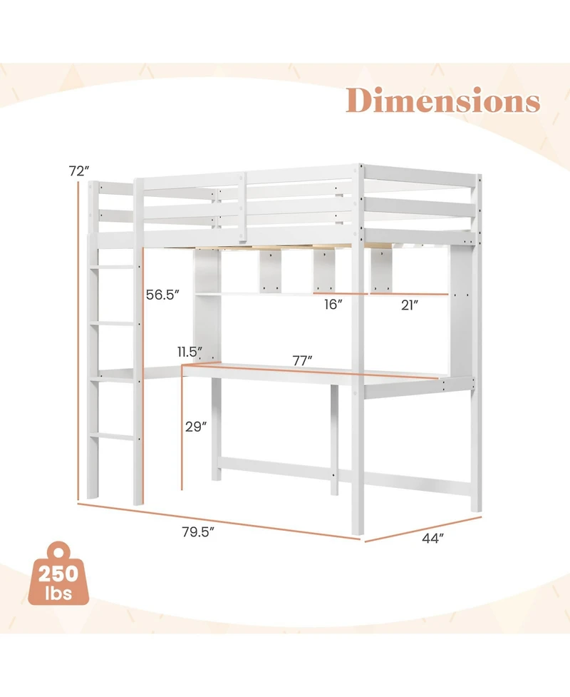 Gouun Loft Bed with Desk and Shelves for Home Dorm Apartment No Box Spring Needed