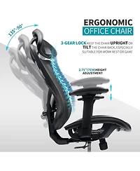 Flynama Mesh Office Chair with Mute Wheel,Adjustable Lumbar Headrest Chair