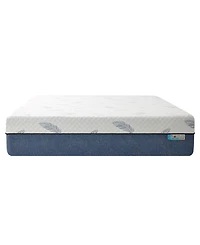 Noctua Tern 12" Hybrid Firm Tight Top Mattress