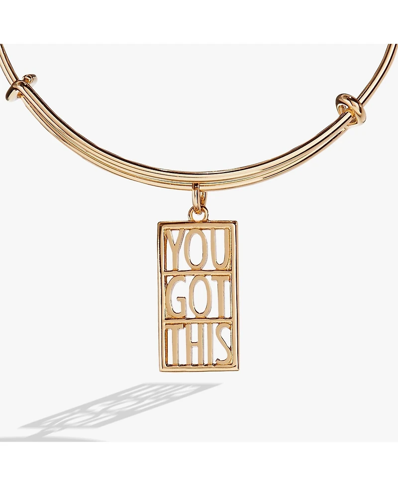 Alex and Ani You Got This Charm Bangle